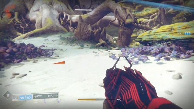 Destiny 2 Spine Burrows Imperial Treasure Map Solution смотреть онлайн