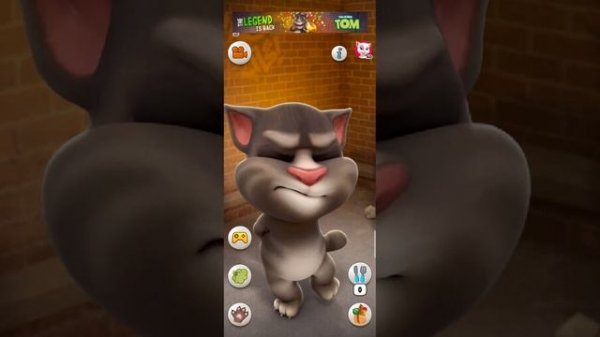 My Talking Tom Cat Billi Cat Lover Gameplay walkthrough Episode 1