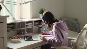 Homes. beehive1-culture-video-unit-9