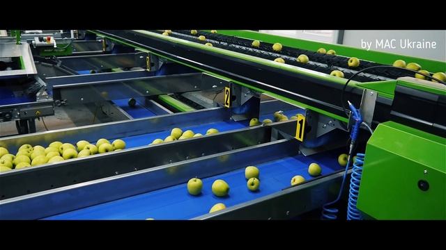 2019 MAC Ukraine apple sorting line смотреть онлайн