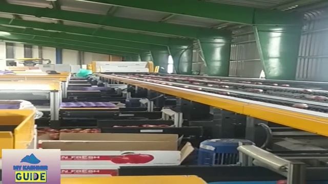 Apple Cold Store||Grading and packing of Apple||NORTH FRESH TAPPER PATTAN || #mykashmirguide смотреть онлайн