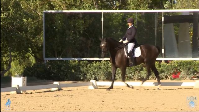 USDF Introductory Level Purpose and Directives. смотреть онлайн