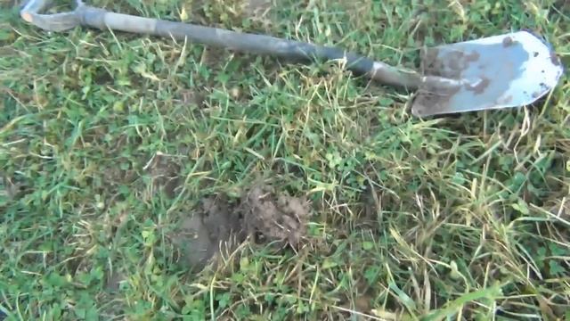Тяжёлый металл и серебро! смотреть онлайн