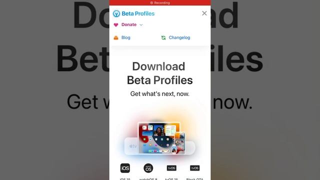BetaProfiles-From the beginning to the end смотреть онлайн