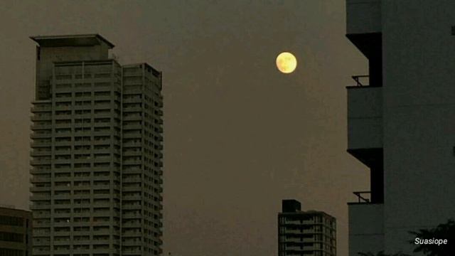 Mitski - Me And My Husband {türkçe çeviri}