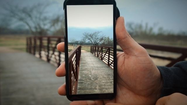 Should You Buy Sandmarc Wide & Telephoto Mobile Lenses? смотреть онлайн
