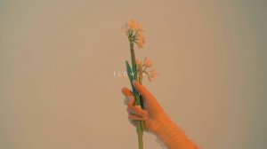 Реклама магазина доставки Flowers