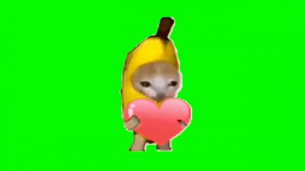 Cat meme green screen  happy cat , banana cat , apple cat green screen  #happykitten #happycats