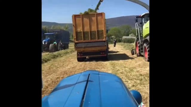 1958 Fordson Major drawing silage being filled by Claas Jaguar 980 смотреть онлайн