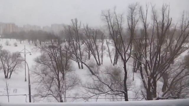 от м Бунинская аллея до м Улица Горчакова смотреть онлайн