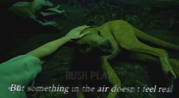 ZOOCHOSIS SONG 🎵 _Save the Zoo_