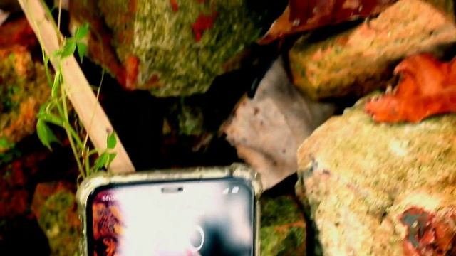 Meet The Awesome Apple iPhone XS Max | Bangla |in Bangladesh смотреть онлайн