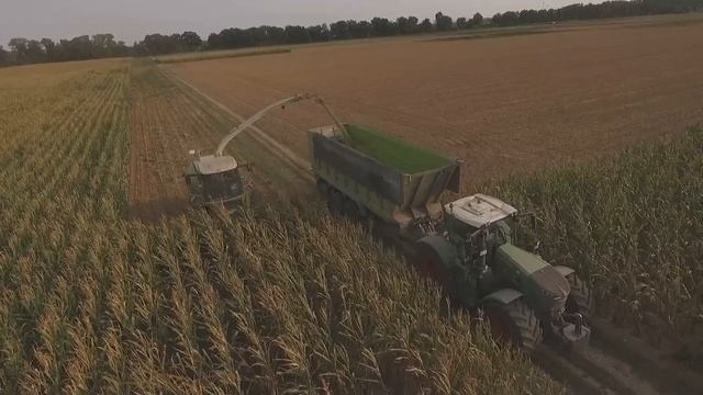 Maishakselen 2020 | Steyns | Fendt 942 | Biogas Baesweiler | Claas jaguar 980 смотреть онлайн