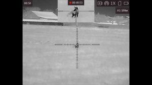 Ночные выстрелы (часть 8). Отстрел лисиц в период активного гнездования диких курообразных.