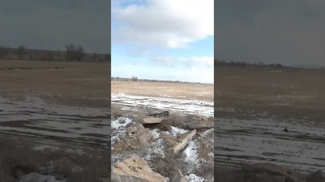 Охотился на зайца нашел корсака смотреть онлайн