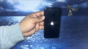 Iphone 13/13 Pro Max How To Hard Reset