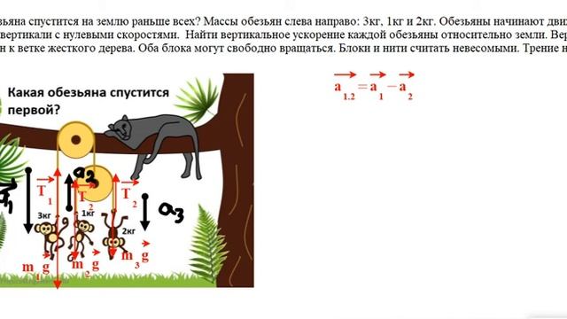 обезьяны на блоке смотреть онлайн