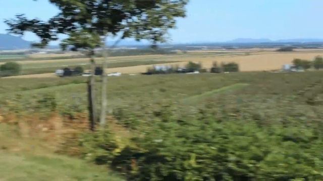 Apple picking in Rougemont смотреть онлайн