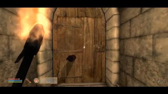 SHENanigans: TES IV: Oblivion OOO - Stuck in the Door! смотреть онлайн