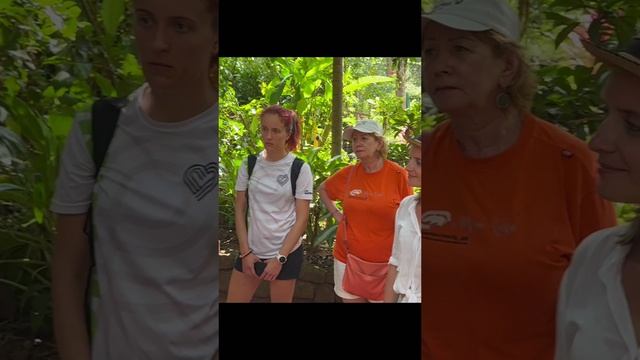 Индийская виагра мускатный орех