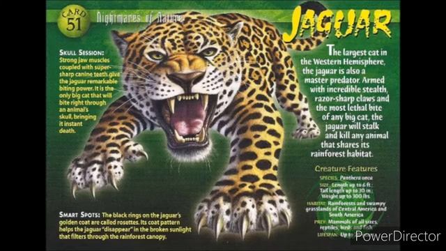 jaguar sound effects смотреть онлайн