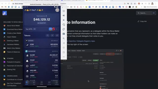 Nova Wallet Demo #30 In-app updates notifications, Adding delegation in OpenGov on Kusama & Polkado смотреть онлайн