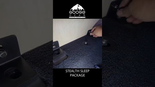 Tight on space, but have a ton a of gear? Goose Gear Stealth Sleep Pkg offers organization & utilit смотреть онлайн
