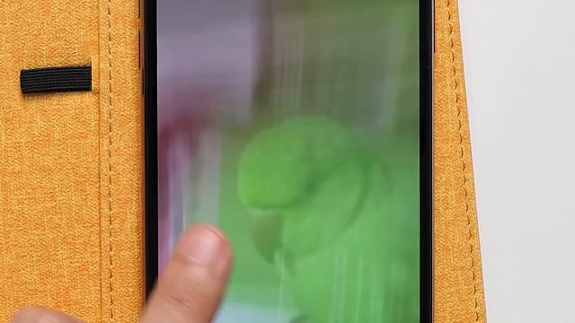 خلاصة 6 شهور من الاستخدام تجعل الحكم قاسي iPhone 11 Pro Max смотреть онлайн