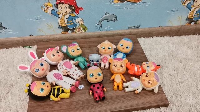 Крайбебис и питомец