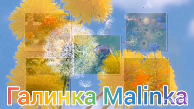 Деревенский дневник /Шок /Что задумала Быкова /Обзор Влогов /Мать-героиня /Леля Быкова / смотреть онлайн