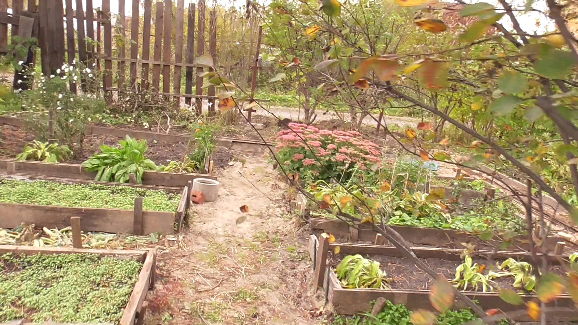 Дача.  Подъем дома. Часть 1. 29.09.24 г.