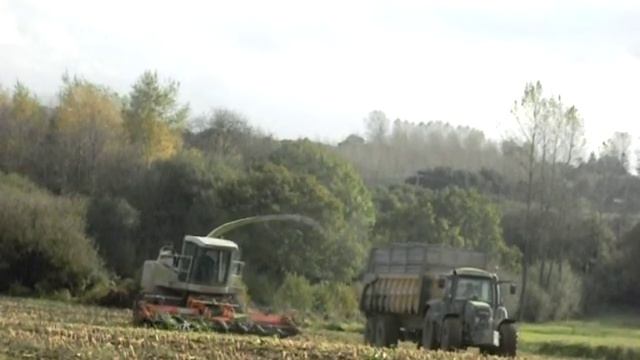 Ensilage de maïs avec Claas Jaguar 860 in france смотреть онлайн