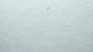 Краткое содержание - Гранатовый браслет