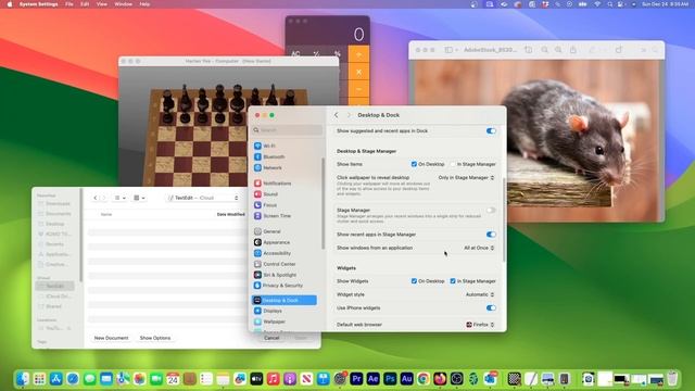 Disable Click to Reveal Desktop on MacOS - Sonoma TURN OFF Click Wallpaper to Reveal Desktop Settin смотреть онлайн
