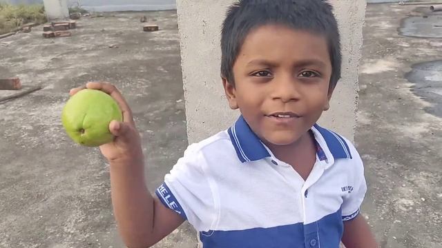 Apple apple red red apple || fruit song ||apple banana song..... смотреть онлайн