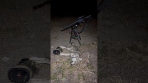 Скоро на канале очередная охота на волка