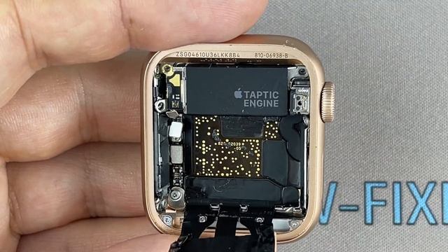 Apple Watch SE Speaker Replacement