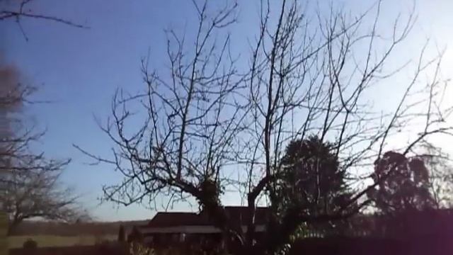 Grafting over a big old apple tree part 1 смотреть онлайн