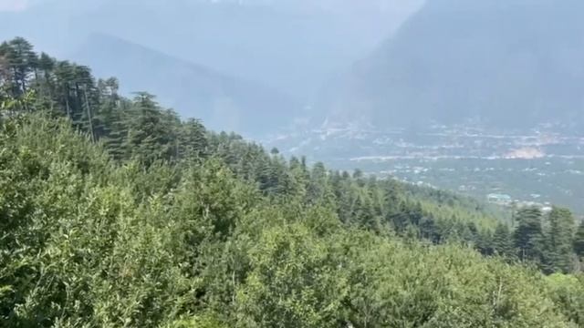 🍎APPLE FARM🍏 FOR SALE IN. ☁️ HIMACHAL PRADESH⛄ contact us on 7977082882 JADHAV REAL ESTATE смотреть онлайн