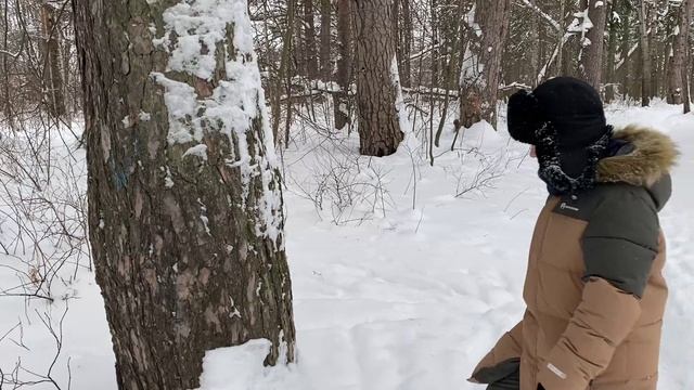Детская ЭКО-экскурсия по Сосновой роще, Республика Марий Эл смотреть онлайн