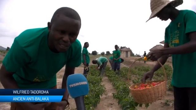 Centrafrique : l'agriculture pour se réconcilier смотреть онлайн
