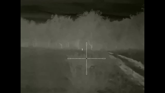 Волки охотились, я провабил и они сразу пошли на «разборки» смотреть онлайн