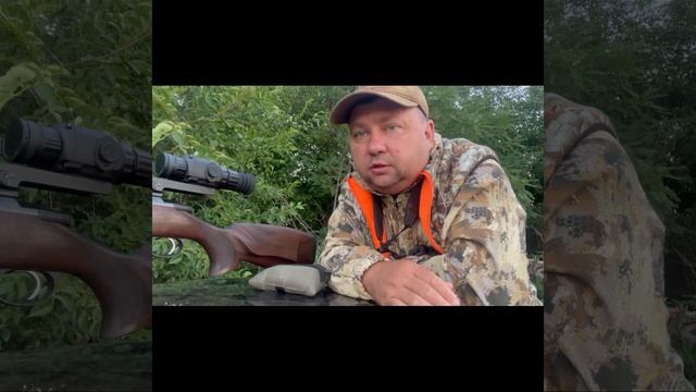 Охота на кабана летом. смотреть онлайн