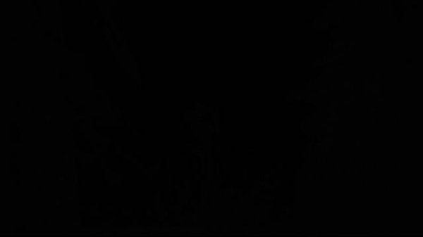 Cry Of Fear forest Ambience | 1 hour