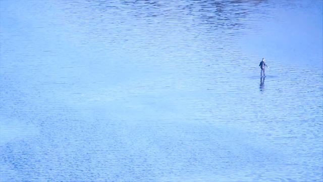 Roma Koval Walk On Water & Рома Коваль ходит по воде смотреть онлайн