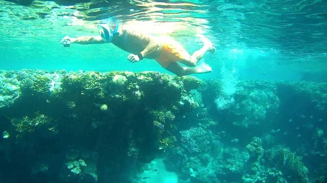 Египет Море, пляж, рыбки смотреть онлайн