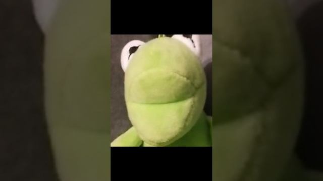Лягушка #shorts смотреть онлайн