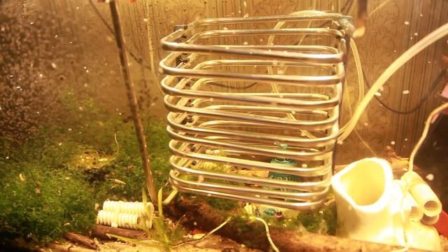 Как охладить #аквариум, если жарко. #Aqua cooler. смотреть онлайн