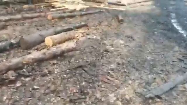 Будущий теплый дом из сруба размером 6×9 (лапа, полулафет) смотреть онлайн