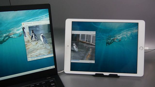 Duet Displayの遅延を検証 - PC Watch смотреть онлайн
